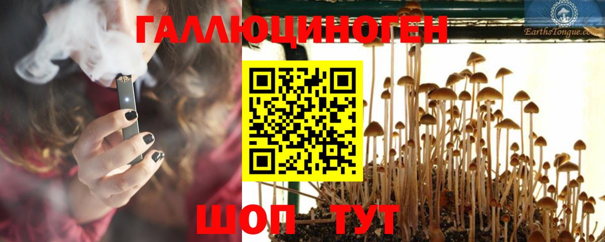 Псилоцибиновые грибы Psilocybine cubensis  Вход с VPN  Краснодар 