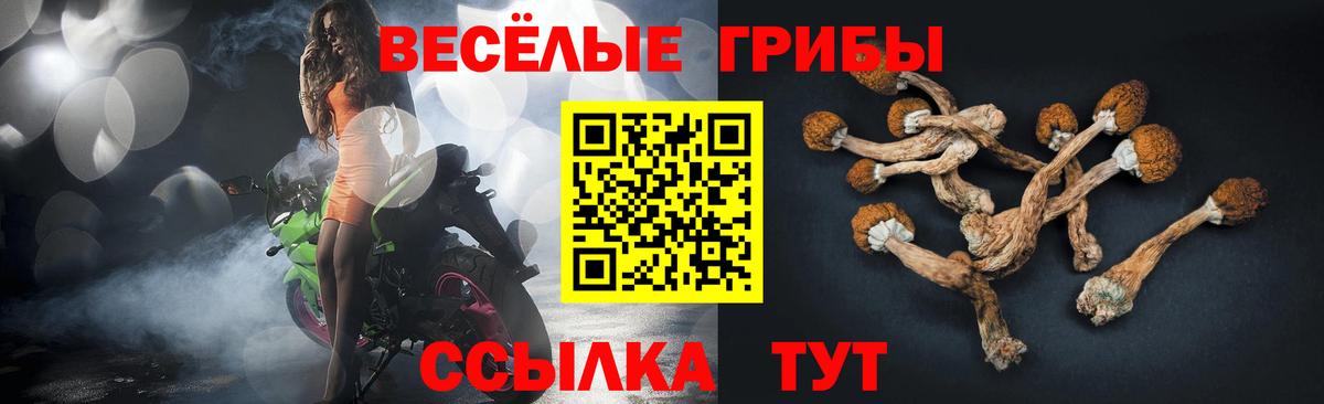 Галлюциногенные грибы Psilocybine cubensis Краснодар